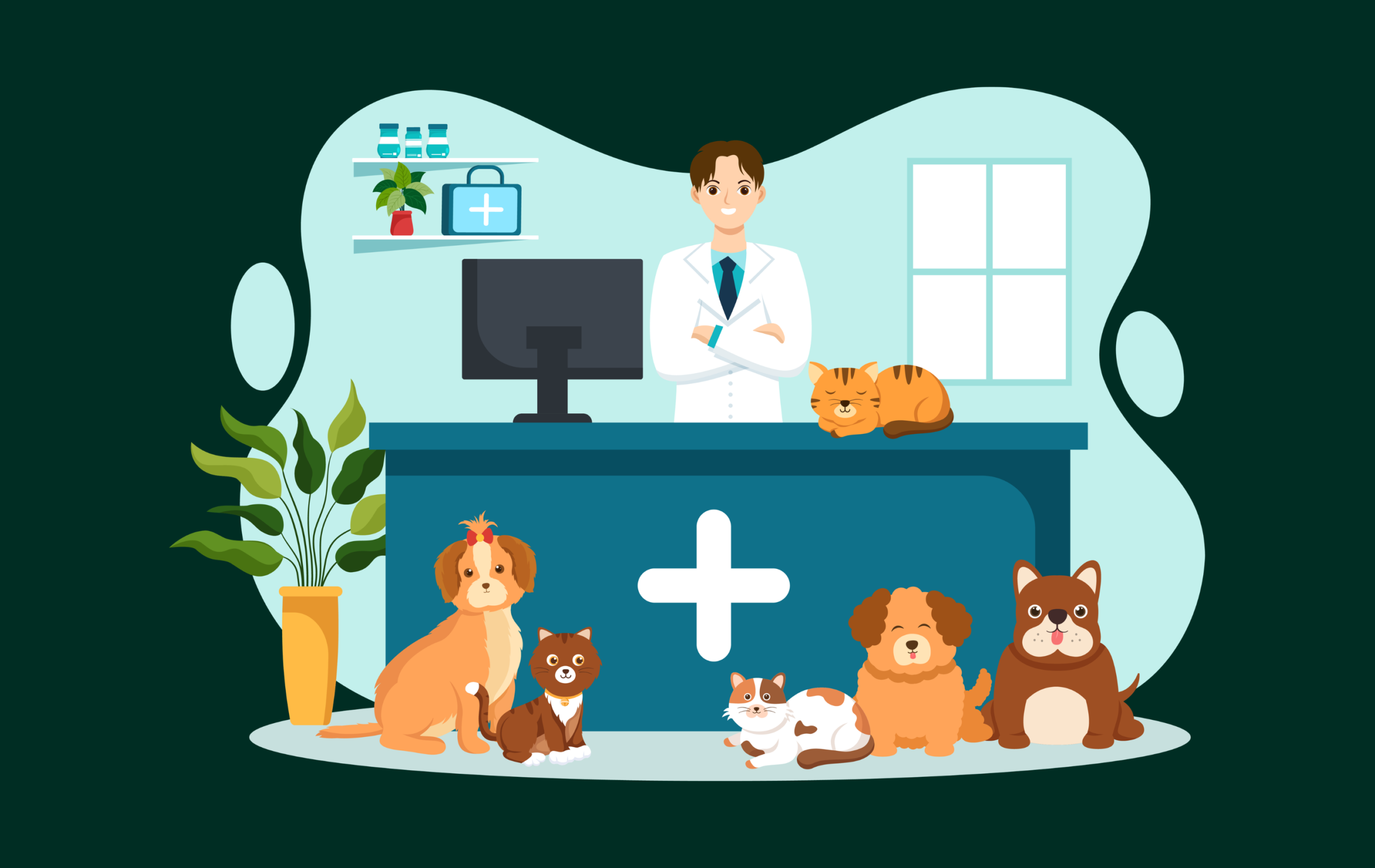 What to Know Before You Buy Vet Email Lists